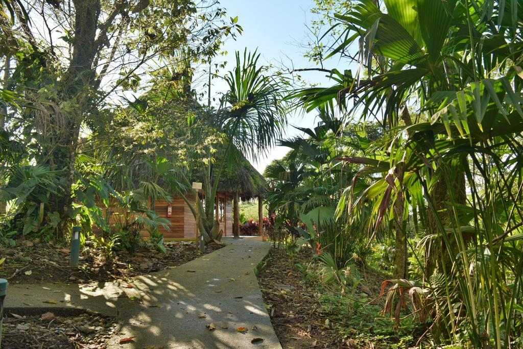 Huasquila Amazon Lodge Cotundo Bagian luar foto