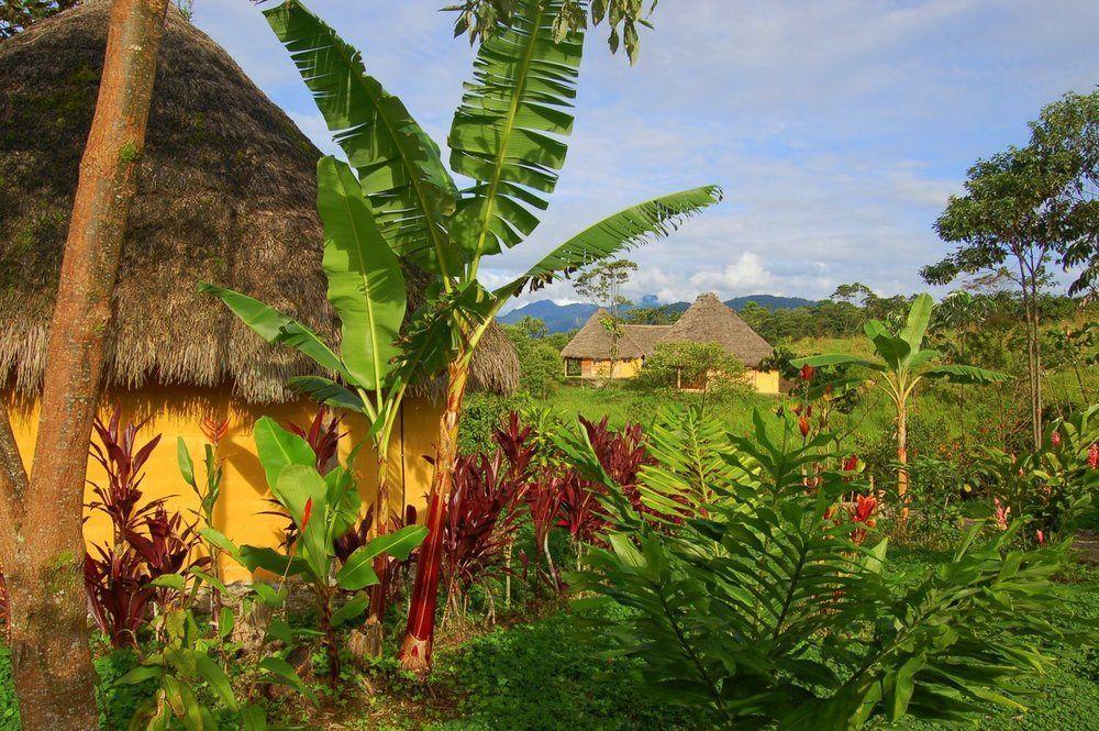Huasquila Amazon Lodge Cotundo Bagian luar foto