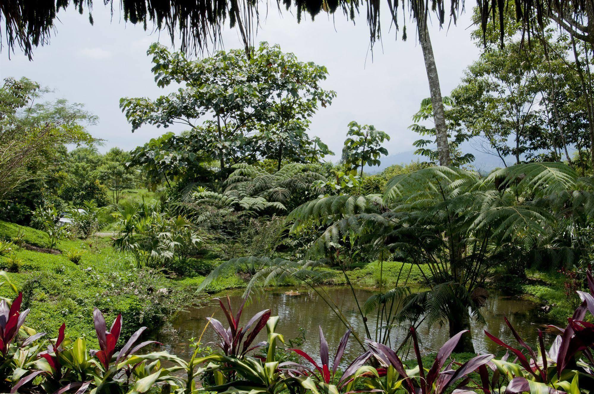 Huasquila Amazon Lodge Cotundo Bagian luar foto