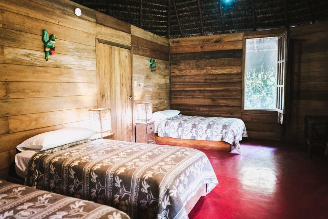 Huasquila Amazon Lodge Cotundo Bagian luar foto